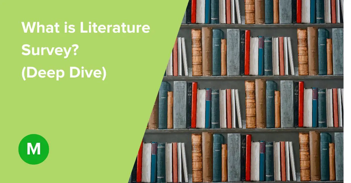 What is Literature Survey? (Expert Deep Dive)
