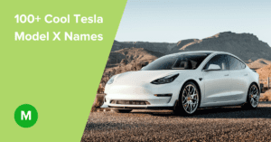 100+ Cool Tesla Model X Names